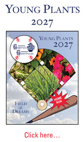2027 YP